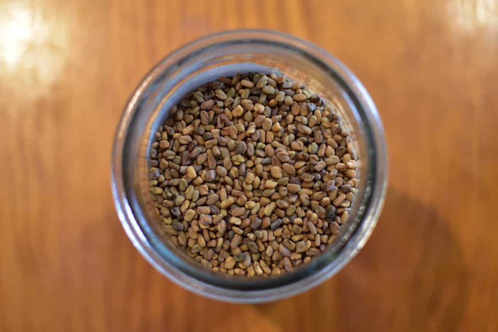 Fenugreek seeds Trigonella foenumgraecum Organic The Apothecary